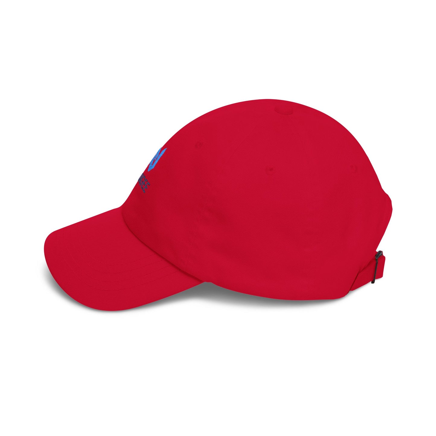 NaxGee Embroidered Dad Cap